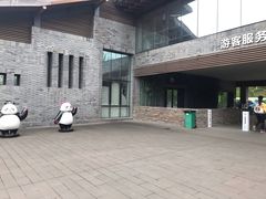 -都江堰中华大熊猫苑