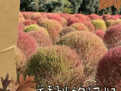 -世纪公园-世纪春沁园