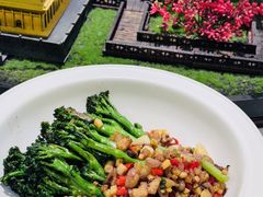 -秦月轩·陕西家乡菜(阜成路·五棵松店)