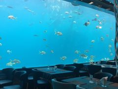 -瑞德姆美人鱼海底演艺主题餐厅(亚龙湾店)