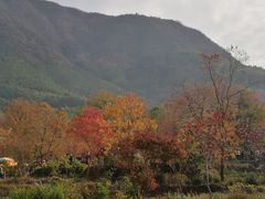 -塔川景区
