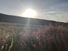 -石井坡(地铁站)