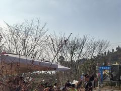 -桃源山庄·水蜜桃采摘·柴火鸡·烧烤团建(龙泉山店)