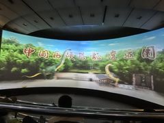 -中国西峡恐龙遗迹园