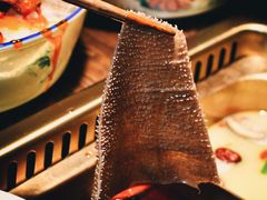 -九鼎轩脆毛肚火锅(三钢里店)