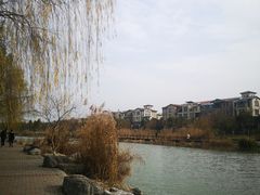 -映月湖中央公园