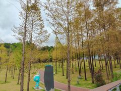 -牛岗山公园