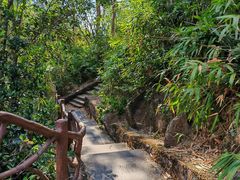 -海南热带雨林国家公园吊罗山景区