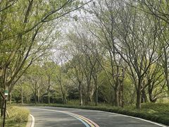 -同里国家湿地公园