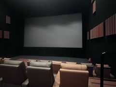 -金逸影城(大悦城IMAX激光店)