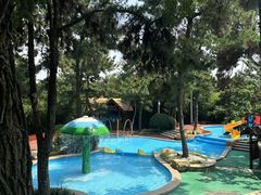 -东海森林温泉度假酒店