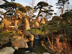 -罗红摄影艺术馆