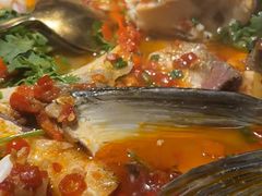 -坛宗剁椒鱼头(河西王府井店)