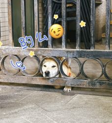 -三昧瑜伽·普拉提