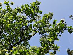 -昆山城市生态森林公园