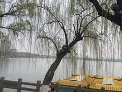 -济南大明湖景区