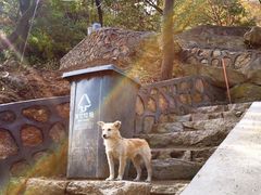 -大岭沟猕猴桃谷风景区