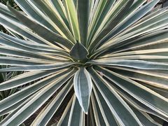 -北京植物园-展览温室