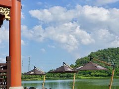 -顺峰山公园