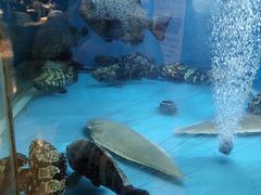-东海海鲜酒家(流花店)