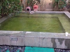-仁爱团泊湖温泉中心