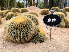 -广东茂名森林公园