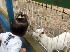 -武汉紫薇都市田园