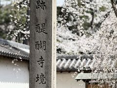-醍醐寺