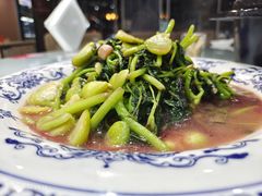 -江宁肚包鸡(铁心桥店)