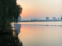 -金银湖国家城市湿地公园