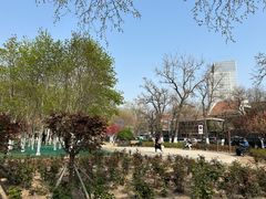 -睦南公园