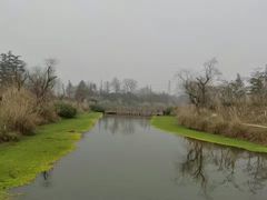 -桤木河湿地公园