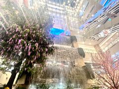 -串一火锅(赛格国际购物中心店)