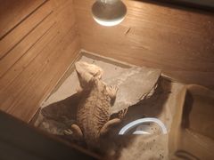 -百谜机械解谜工场