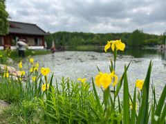 -尚湖风景区