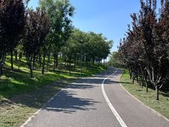 -马家湾湿地公园
