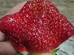 -BRAVO 赞·美艺术中心·系统美术·书法·艺考(双井校区)