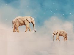 -薇兰专业脱毛连锁机构