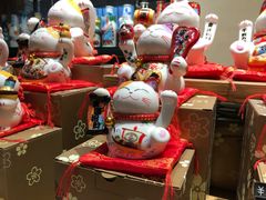 -猫咪博物馆(顶澳仔猫街店)