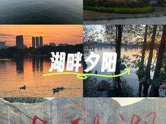 -海珠湖公园