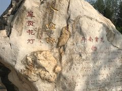 景点-洛龙公园
