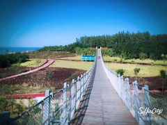 -辽宁团山国家级海洋公园