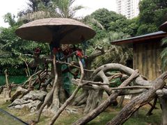 -南宁加勒比水世界