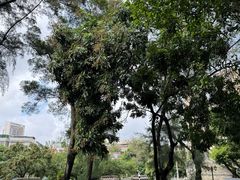 -冯子材故居