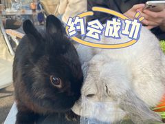 -趣小咖(溪悦荟店)