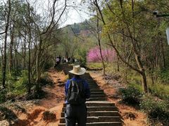 -天台山赤城山景区