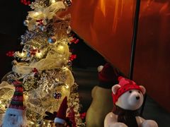 -弦月窗LUNETTE BY AMANDA(复兴路店)