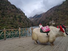 -叠溪松坪沟景区