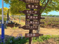 -北京张裕爱斐堡酒庄