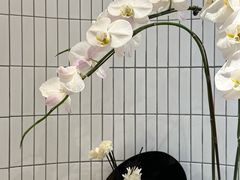 -Z&B Fitness Studio·Gym(前滩L+PLAZA店)
